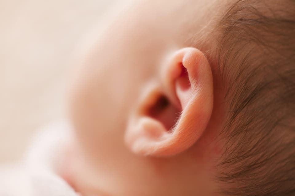 Close-up of a newborn's ear
