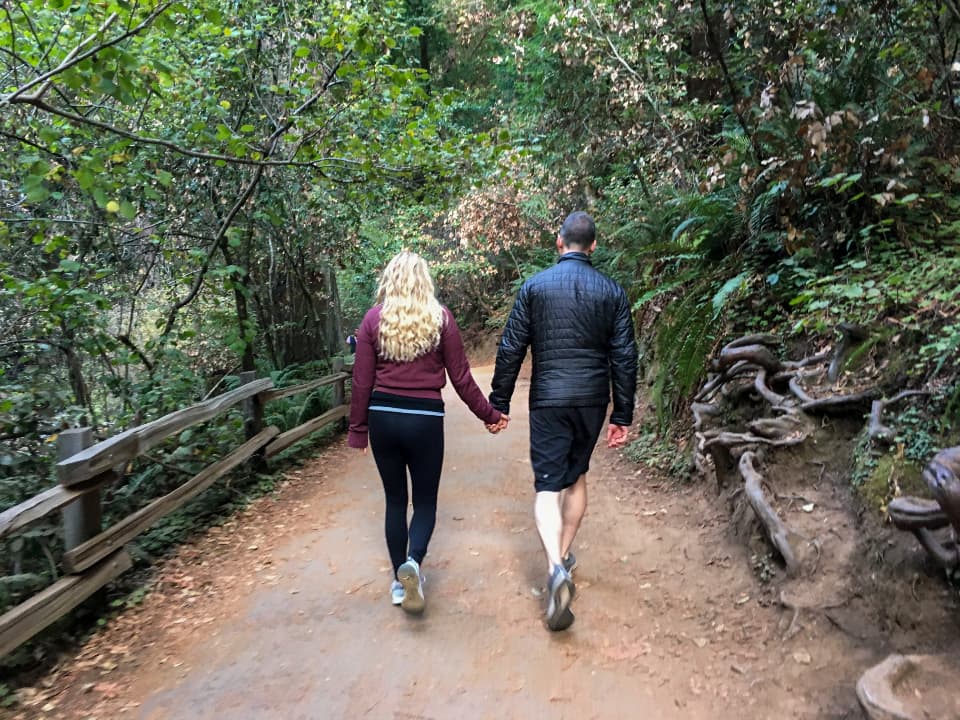 Walking hand in hand along a forest trail